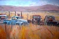 Autowrakken landschap