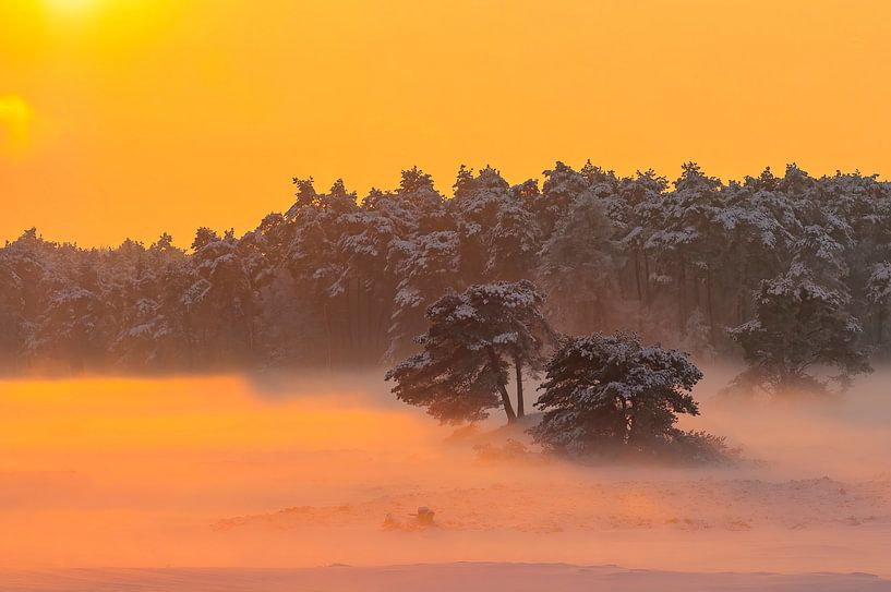 Verschneite Winterlandschaft in einem Treibsanddünengebiet von Sjoerd van der Wal Fotografie