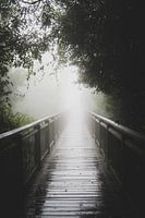 chemin à travers le brouillard