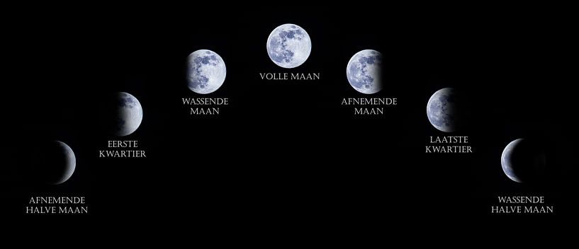 The Moon, the phases of the moon collected. by Gert Hilbink