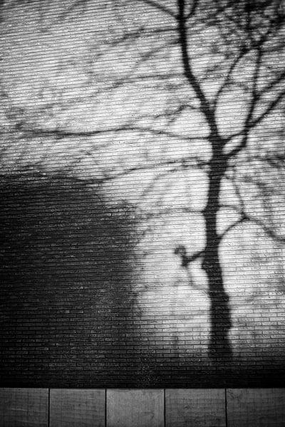 Jeu d'ombres sur les murs de Ceramique, Maastricht par Streets of Maastricht