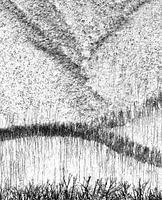 Zurück von den Toten