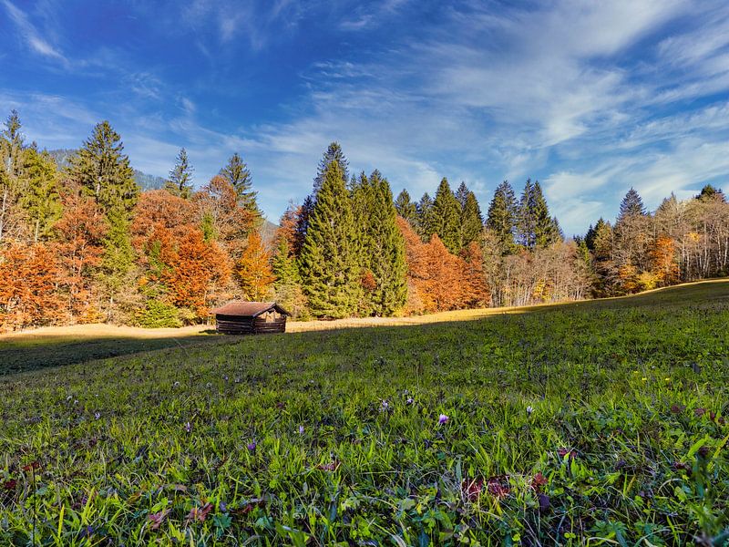Prairie de montagne de Haute-Bavière en robe d'automne par Christina Bauer Photos