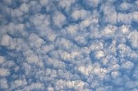 cirrocumulus clouds