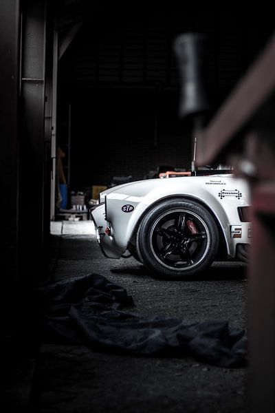 Mysteriöse Kobra von Jaimy van Asperen