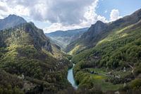 Tara canyon in Montenegro