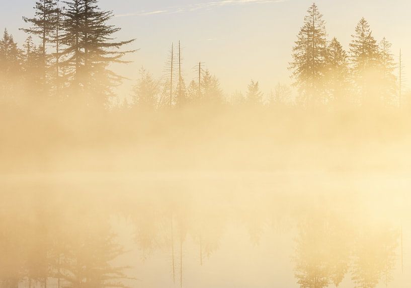 Lever de soleil Drents-Friese Wold - Hoekenbrink (Pays-Bas) par Marcel Kerdijk