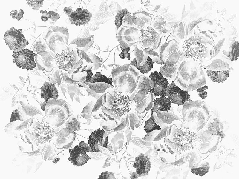 Gentle peony roses by Mad Dog Art