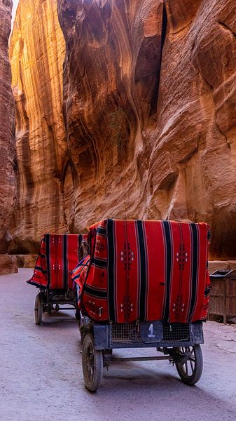 Busfahrt durch den Siq in Petra, Jordanien von Jessica Lokker