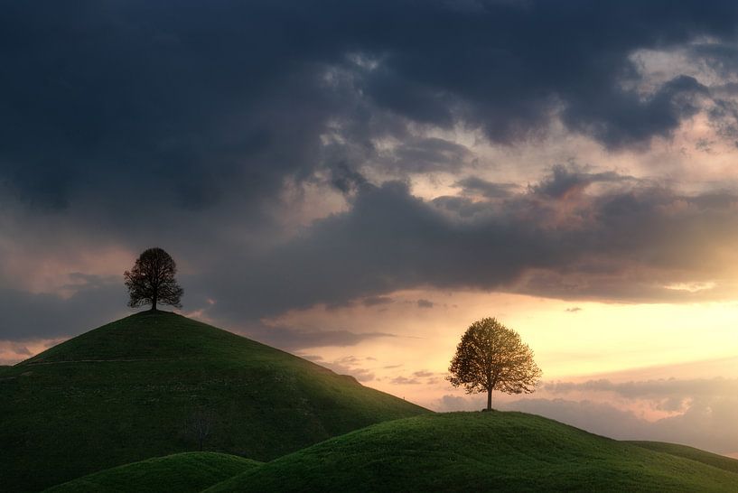 Drumlin by Markus Stauffer