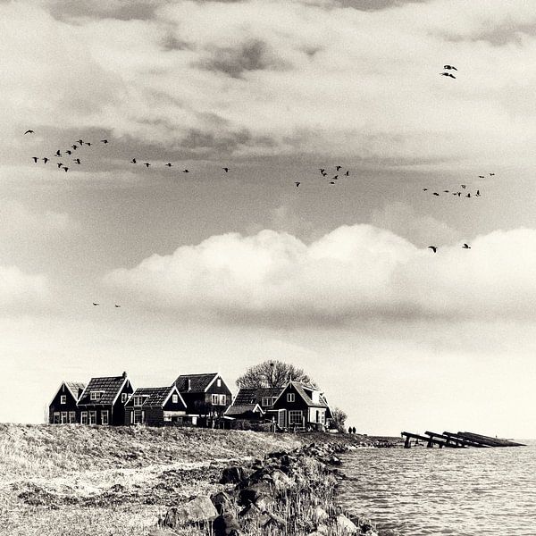 Rozewerf, Marken by Keesnan Dogger Fotografie