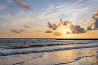 Möwe im Sonnenuntergang