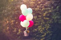 Ballon de cochon d'Inde