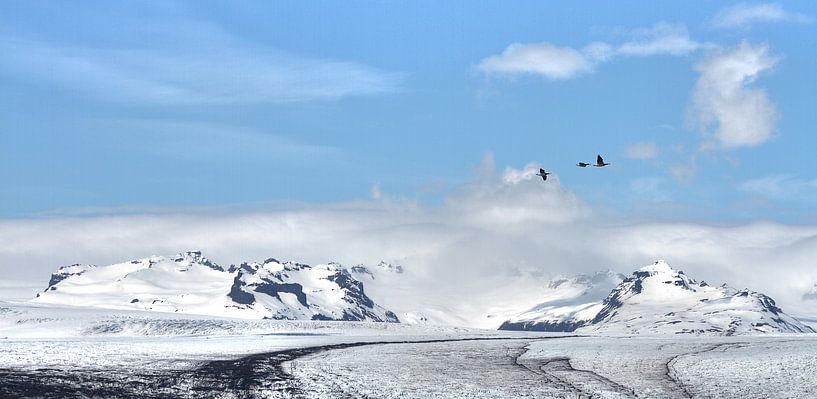 That way by BL Photography