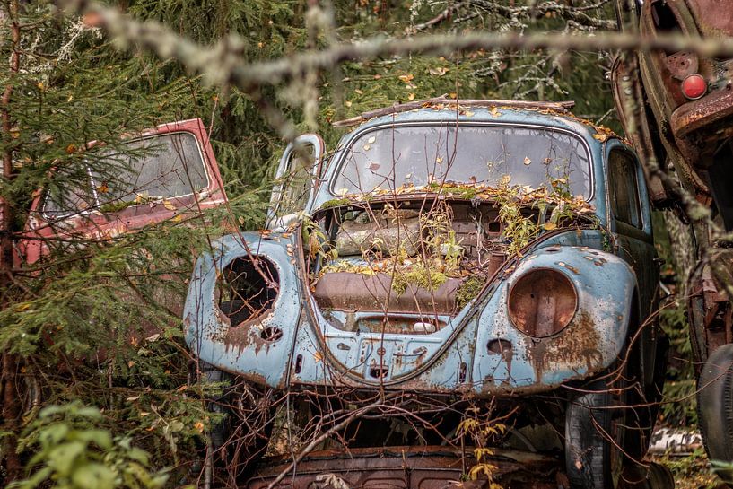 Cimetière de voitures en Suède : des traces de rouille dans la forêt par Gentleman of Decay