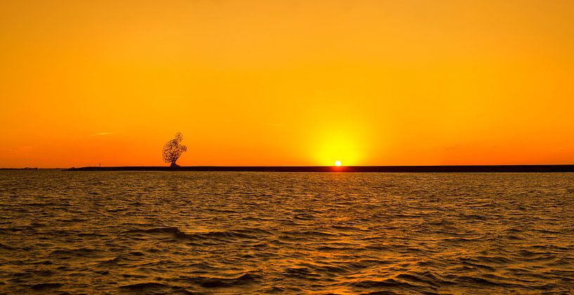 Markermeer von Xander Haenen