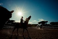 Paard en ruiter bij zonsondergang