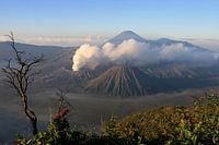 Blick auf den Vulkan Bromo