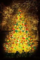 Weihnachten, Licht in der Dunkelheit