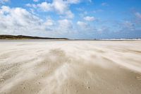 Vent de force 8 sur Vlieland