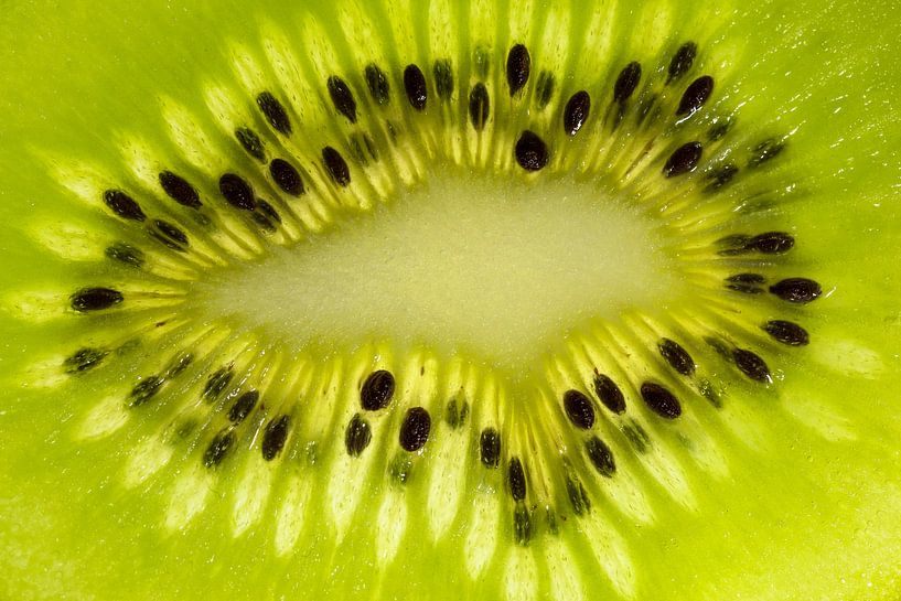 Kiwi van Tilo Grellmann