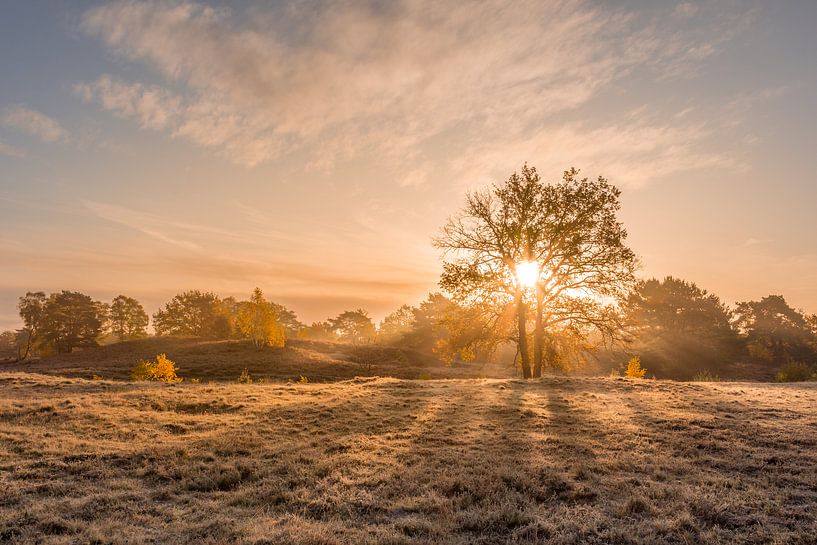 Brunssummerheide par une froide matinée d'automne par John van de Gazelle fotografie