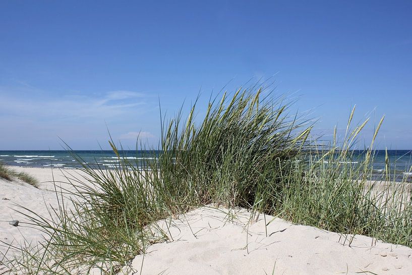 Natürlich von Ostsee Bilder