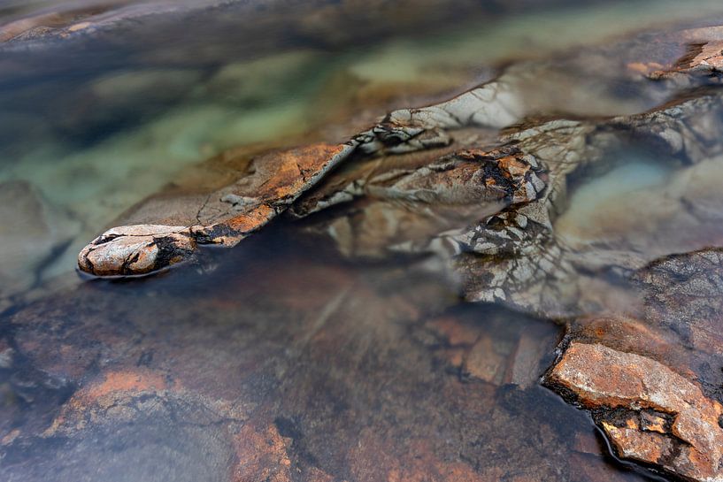 The Stony Snake von Vincent van den Hurk