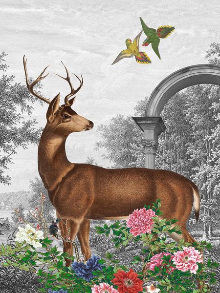 Deer in Summer Forest von Marja van den Hurk