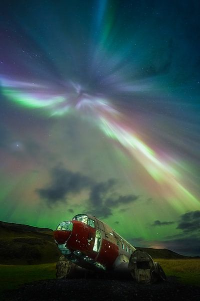 Aurora Angel van Thom Brouwer