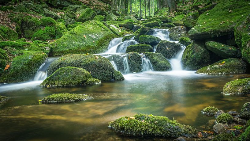 Une cascade dans la forêt par Tobias Luxberg