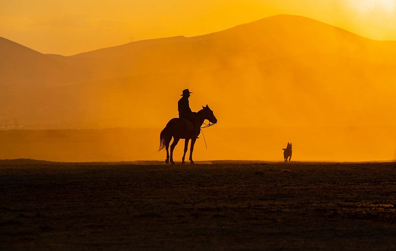 Die besten Freunde des Menschen von BARKAN TEKDOGAN