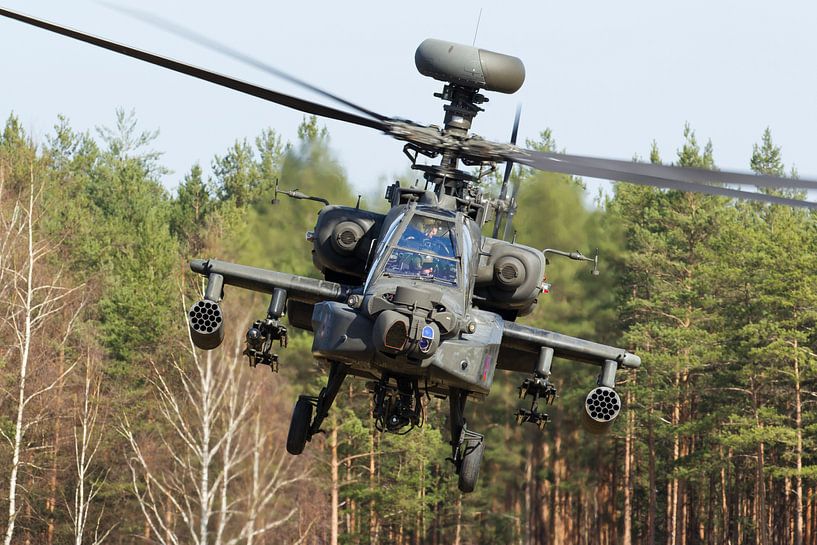 Amerikaanse Landmacht AH-64 Apache von Dirk Jan de Ridder - Ridder Aero Media