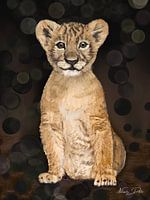 Nachtelijke Ontdekkingen