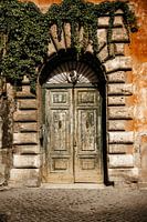 Decaying door | Travel photography print Rome Italy Art Print