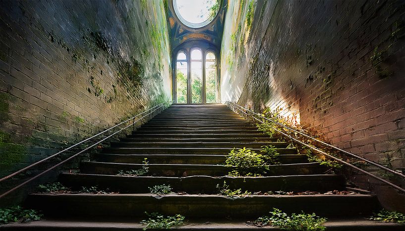 Stairs into the garden by Mustafa Kurnaz
