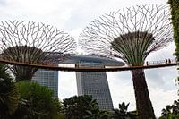 Marina Bay Area, Garden by the Bay, Singapour