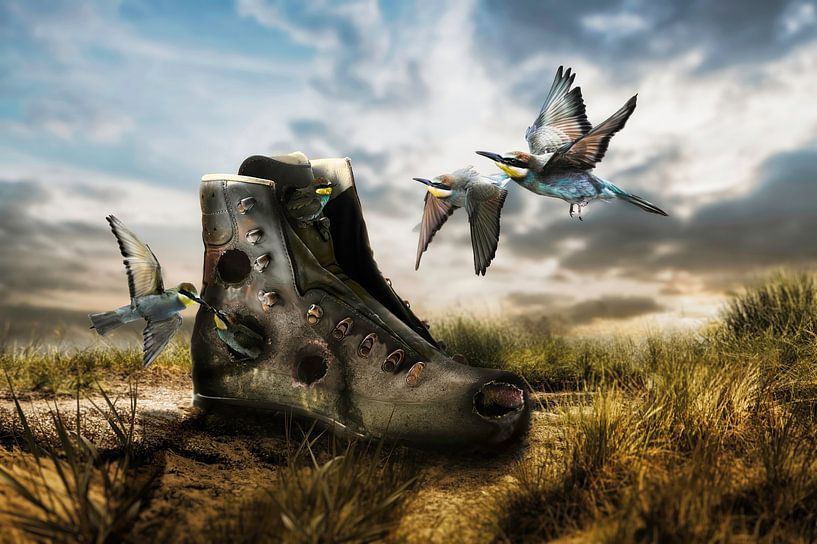 Für unbewohnbar erklärt von Gijs te Pas