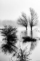 Meinerswijk Uiterwaardenpark, Arnhem