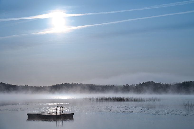 Schwimminsel in einem schwedischen See von Martin Köbsch