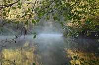 meegesleurd in de diepte