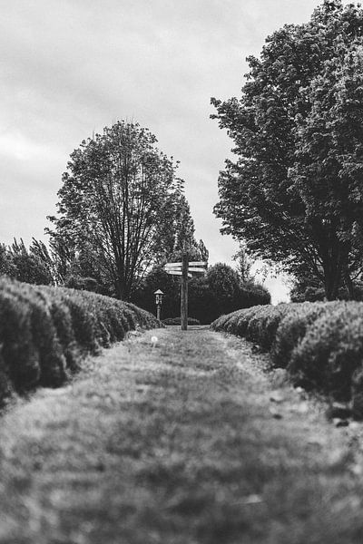 Le jardin de lavande de Wanaka : une oasis parfumée par Ken Tempelers