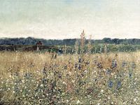 Blumenfeld-Landschaft