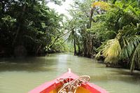 excursion en bateau sur la rivière indiana