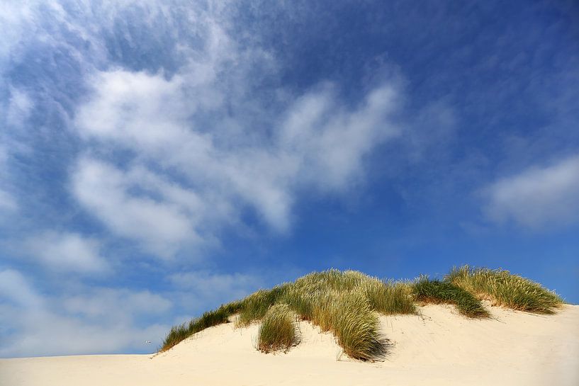 Bold blue sky above the dune by Caroline van der Vecht
