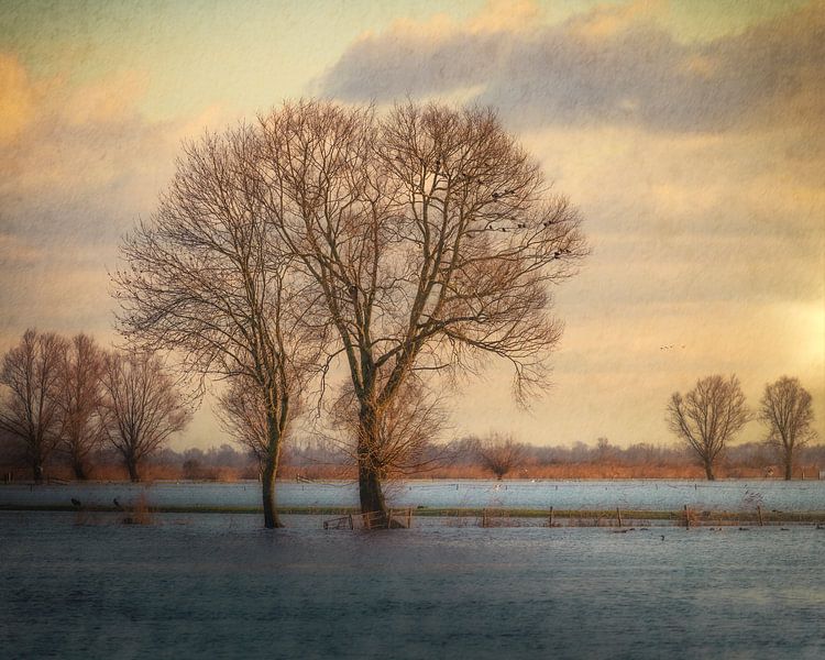 Das schwarze Wasser bei Zwartsluis von Angela Dijkman