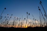 Sonnenuntergang in Brabant
