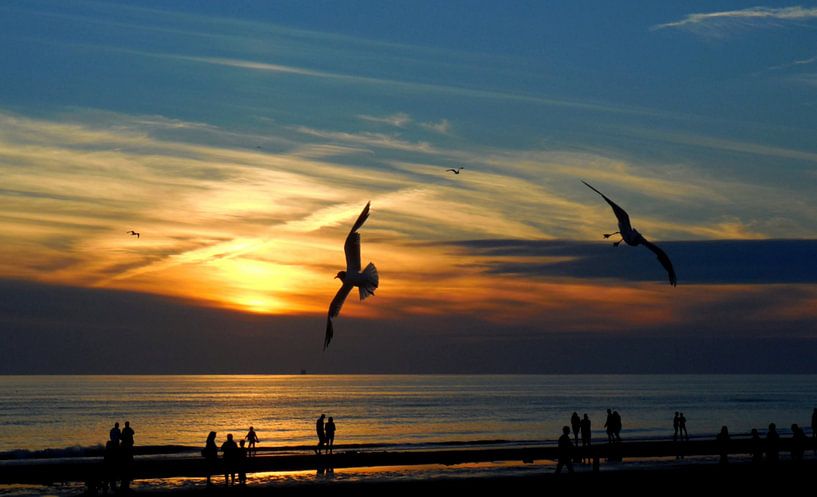 beach Bergen aan Zee by Joke te Grotenhuis