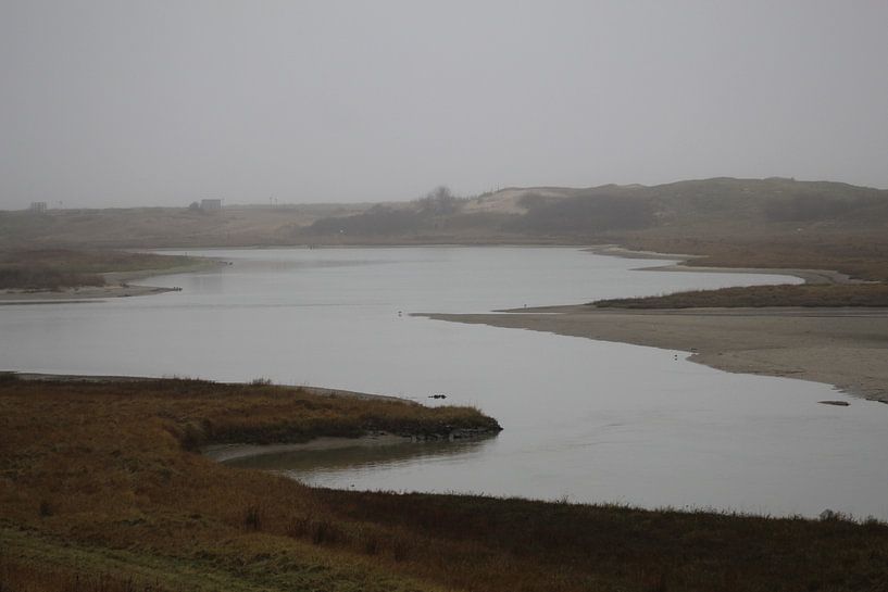 Het zwin von Marc Van Achte