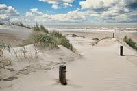 North Sea with the Dutch dunes
